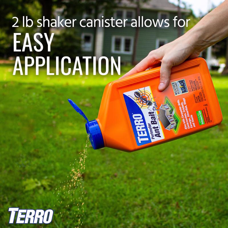 TERRO Perimeter Ant Bait 2 lb