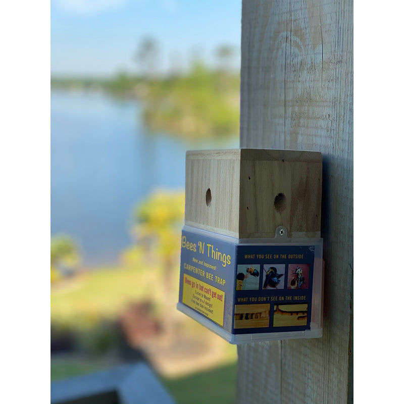 Bees N Things Carpenter Bee Trap