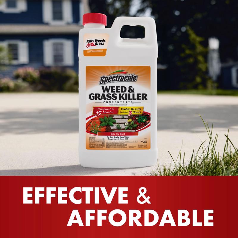 Spectracide Weed and Grass Killer Concentrate 64 oz