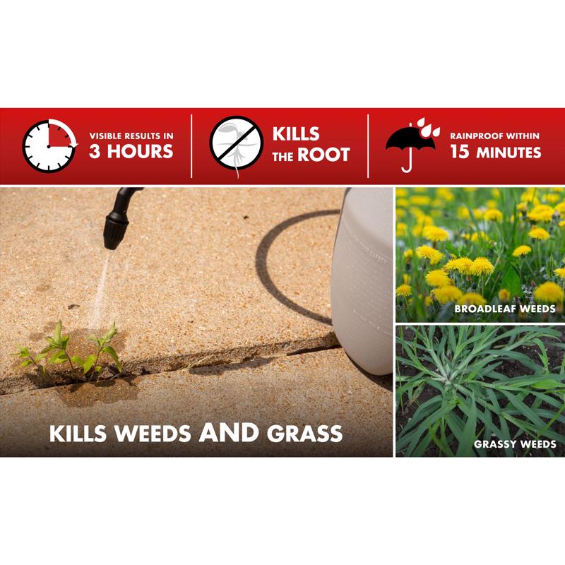 Spectracide Weed and Grass Killer Concentrate 64 oz