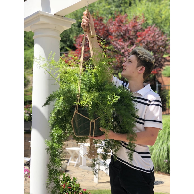 Primitive Planters Natural Jute 30 in. H Plant Hanger