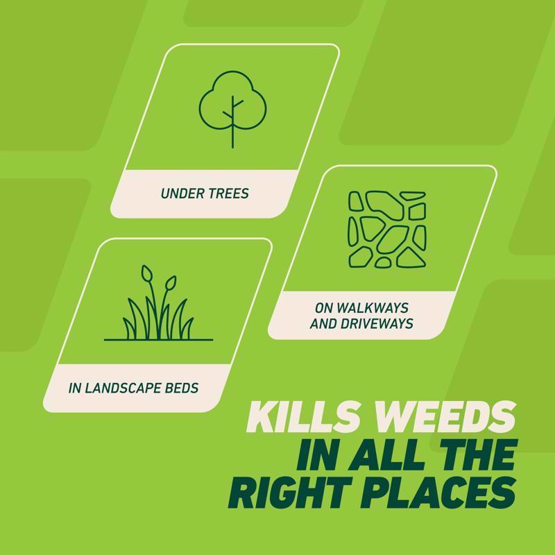 Ortho GroundClear Weed and Grass Killer RTU Liquid 1 gal