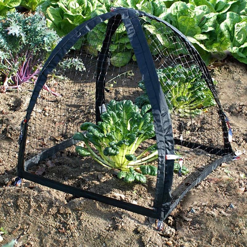NuVue PestGuard 25 in. L X 25 in. W Plant Protector