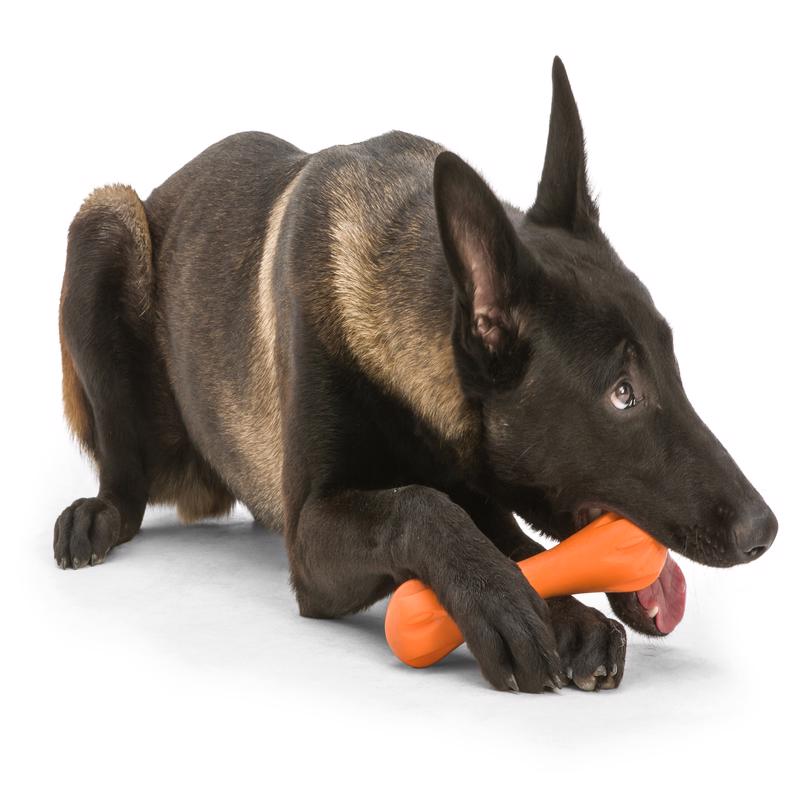 West Paw Zogoflex Plastic Hurley Bone Chew Dog Toy Small