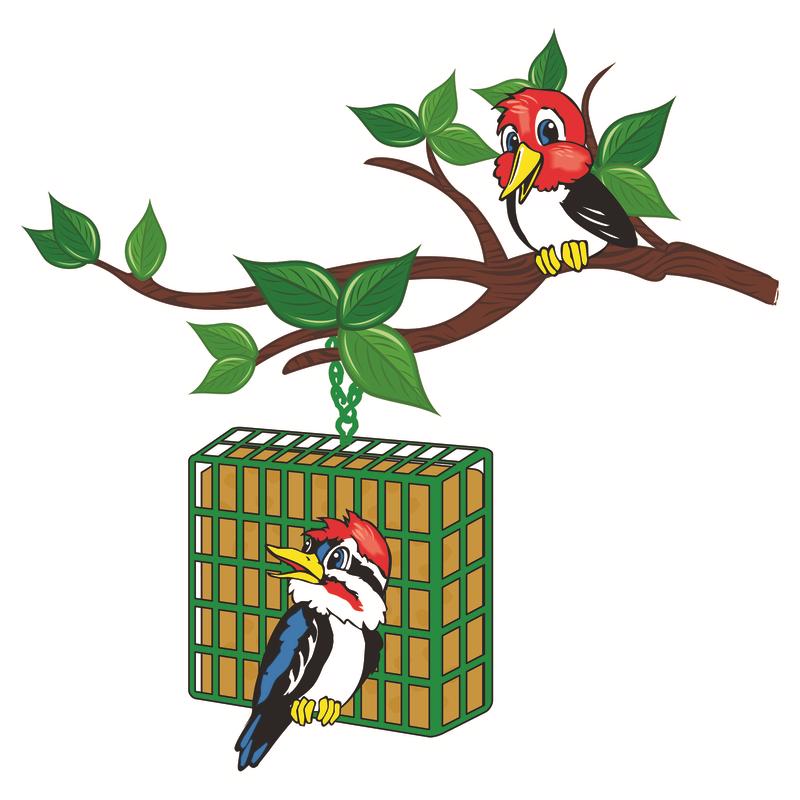 C&S Products Berry Treat Wild Bird Food 11.75 oz
