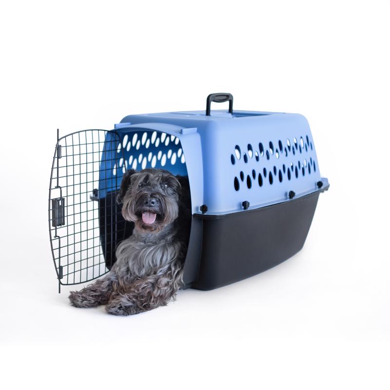 Aspen Pet Plastic Pet Porter Multicolored 18.6 in. H X 16.5 in. W X 26.2 in. D