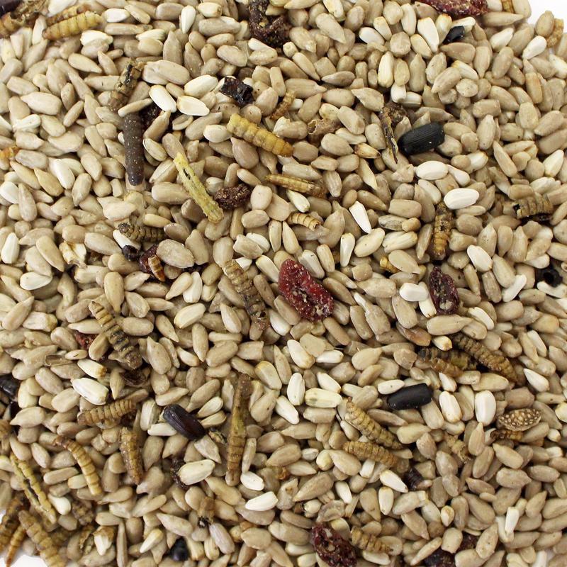 Wild Delight Bugs N' Berries Wild Bird Food 4.5 lb