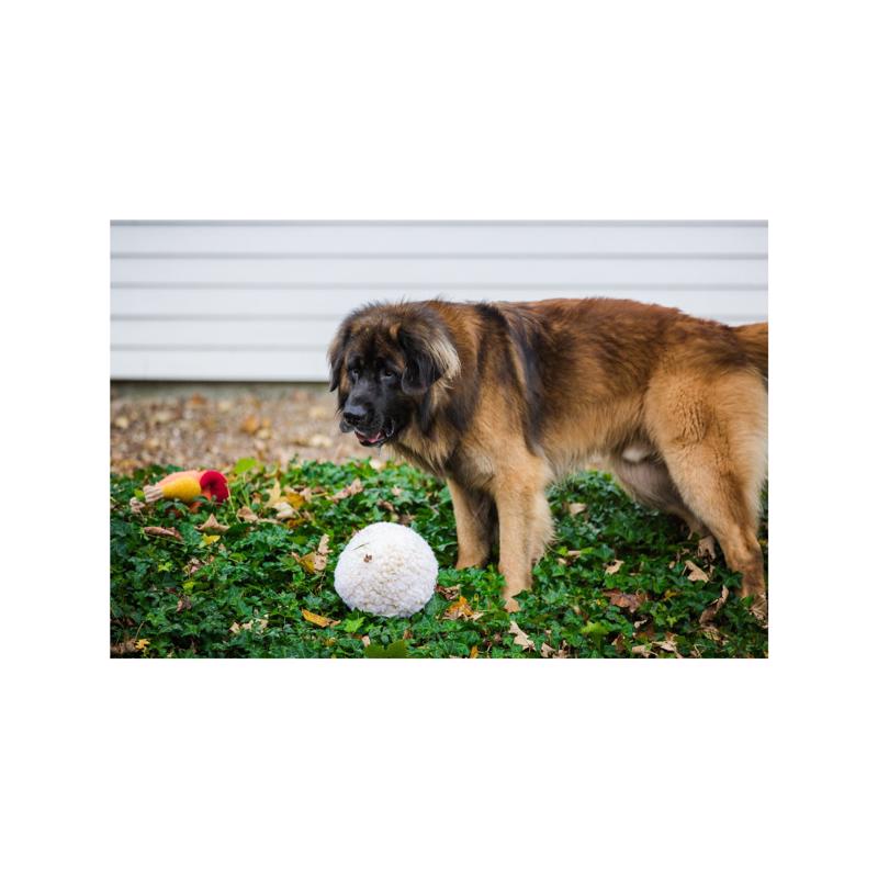 HuggleHounds For Dog Beige Fleece Ball Dog Toy Large