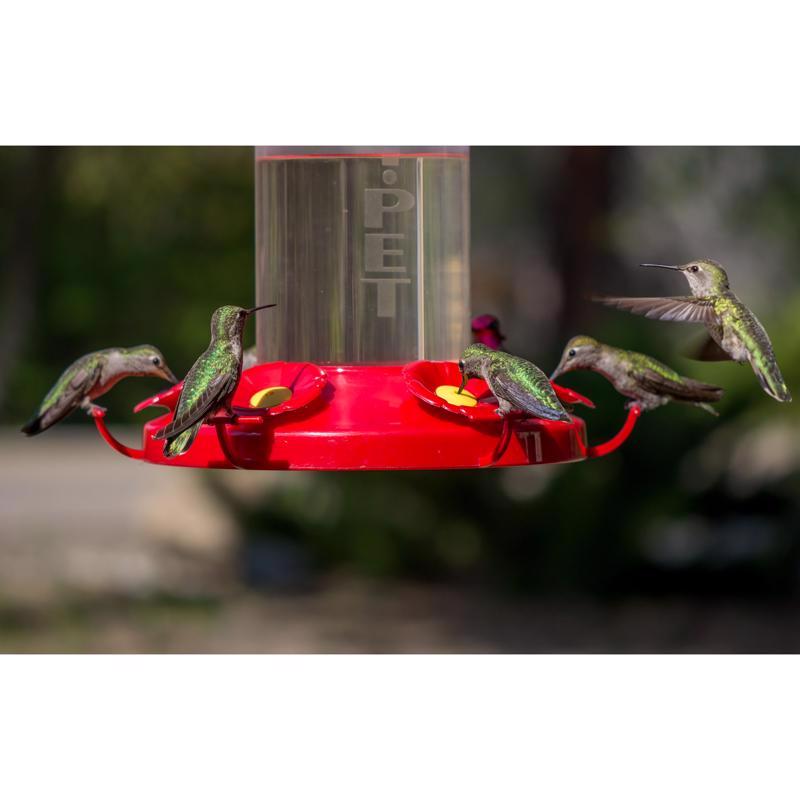 Perky-Pet Hummingbird 48 oz Glass/Plastic Nectar Bird Feeder 6 ports