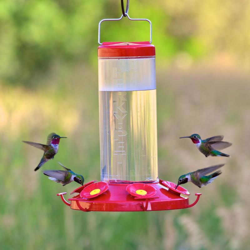 Perky-Pet Hummingbird 48 oz Glass/Plastic Nectar Bird Feeder 6 ports