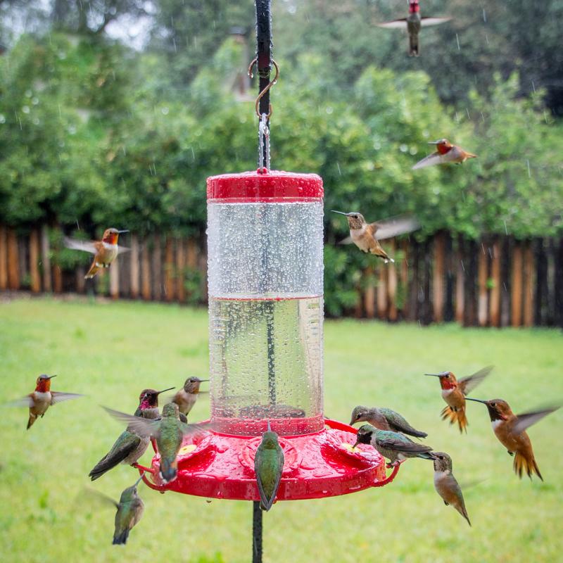 Perky-Pet Hummingbird 48 oz Glass/Plastic Nectar Bird Feeder 6 ports