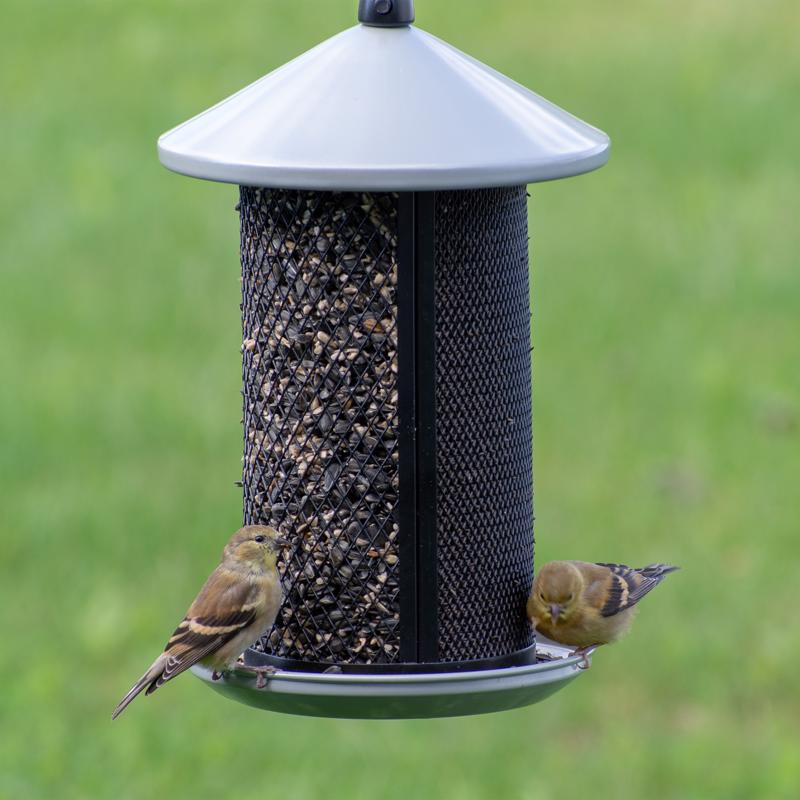 Perky-Pet Wild Bird and Finch 2.85 lb Metal Dual Mesh Bird Feeder