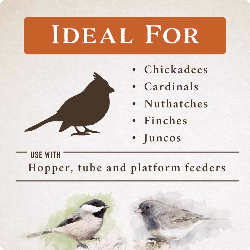 Songbird Selections Wild Bird Food 5 lb
