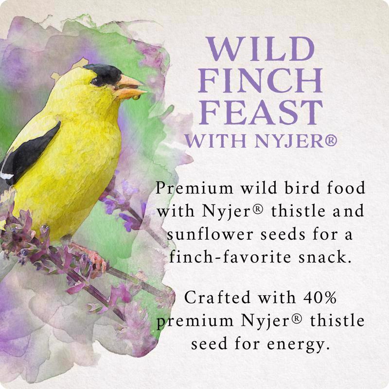 Songbird Selections Wild Finch Feast Wild Bird Food 5 lb