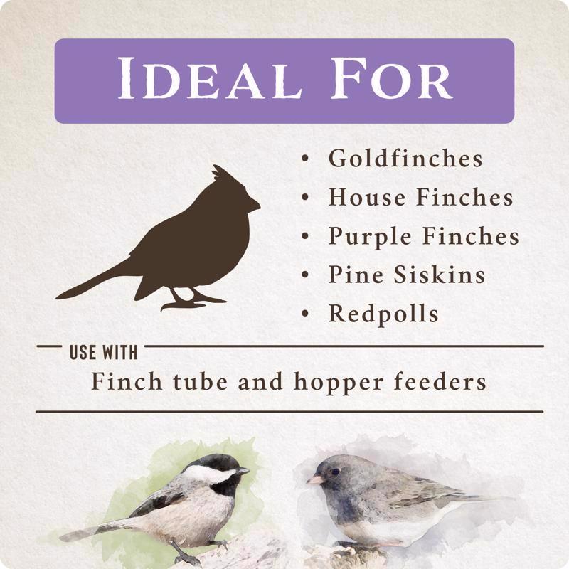 Songbird Selections Wild Finch Feast Wild Bird Food 5 lb