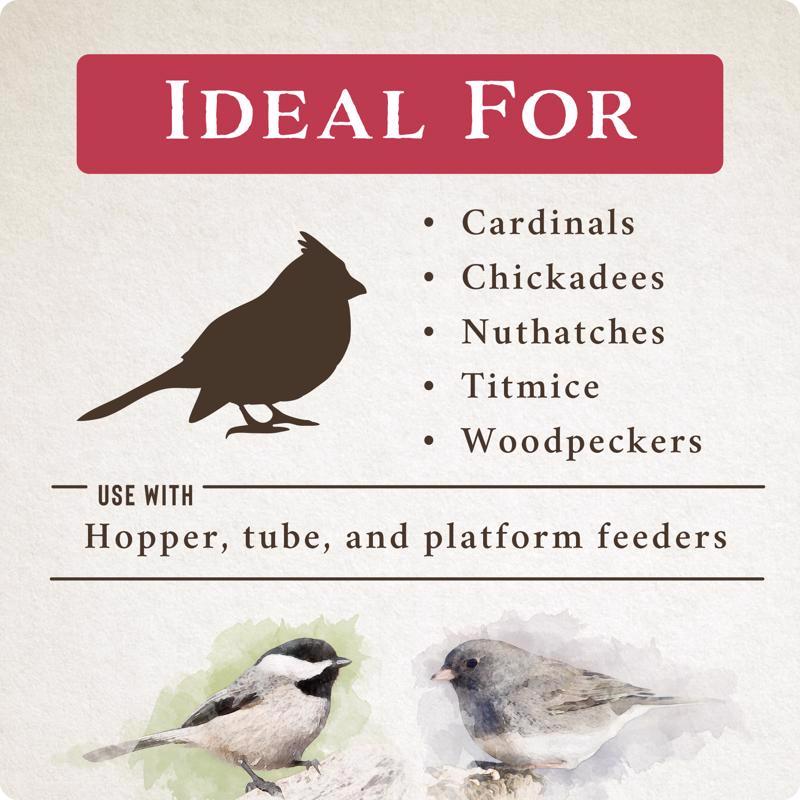 Songbird Selections Songbird Crunch Wild Bird Food 10 lb