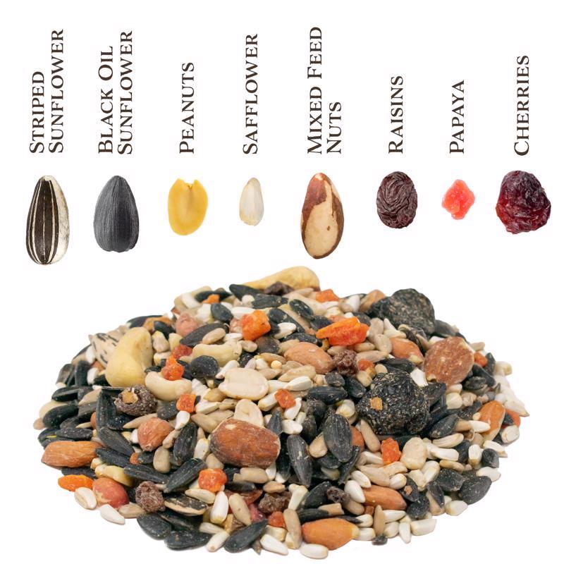 Songbird Selections Bird Seed 10 lb