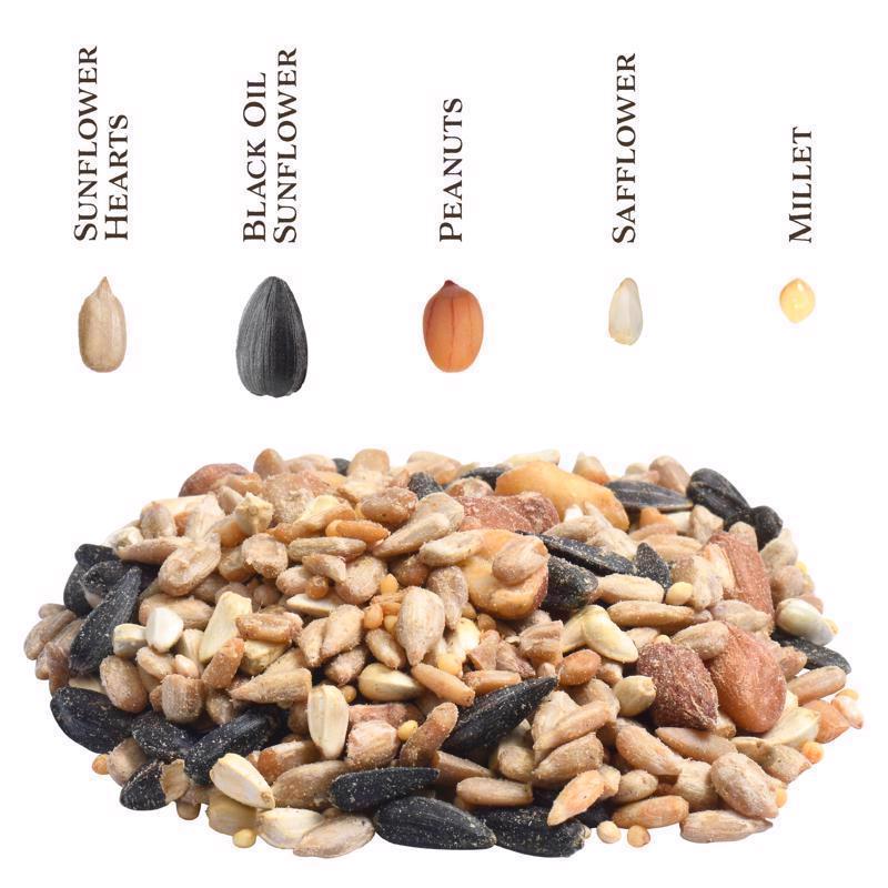 Songbird Selections Wild Bird Food 10 lb
