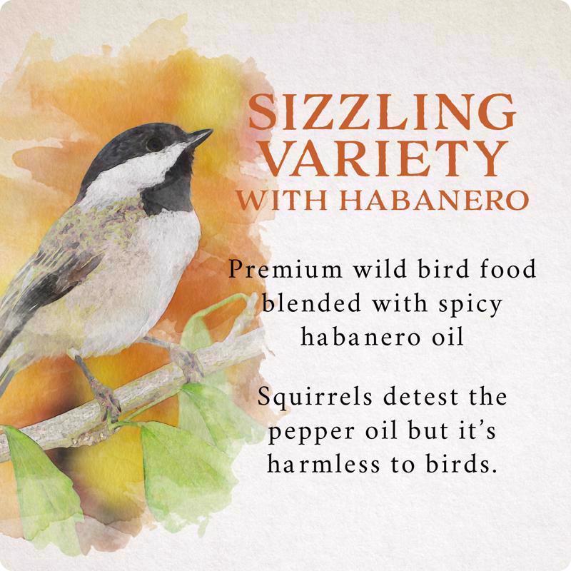 Songbird Selections Wild Bird Food 10 lb