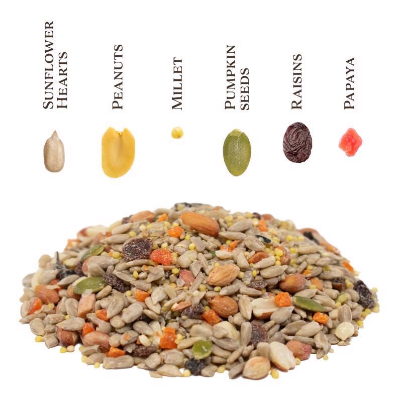 Songbird Selections No Waste Supreme with Fruit Wild Bird Food 5 lb