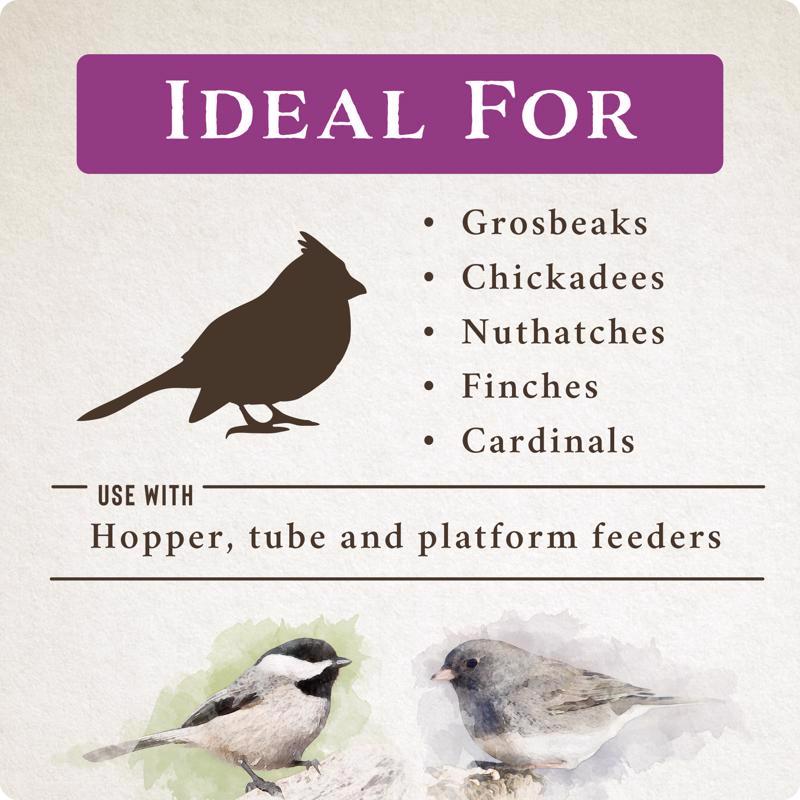 Songbird Selections Berry Burst with Mixed Nuts Wild Bird Food 5 lb