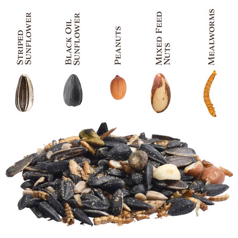 Songbird Selections Premium Protein with Mealworms Wild Bird Food 5 lb