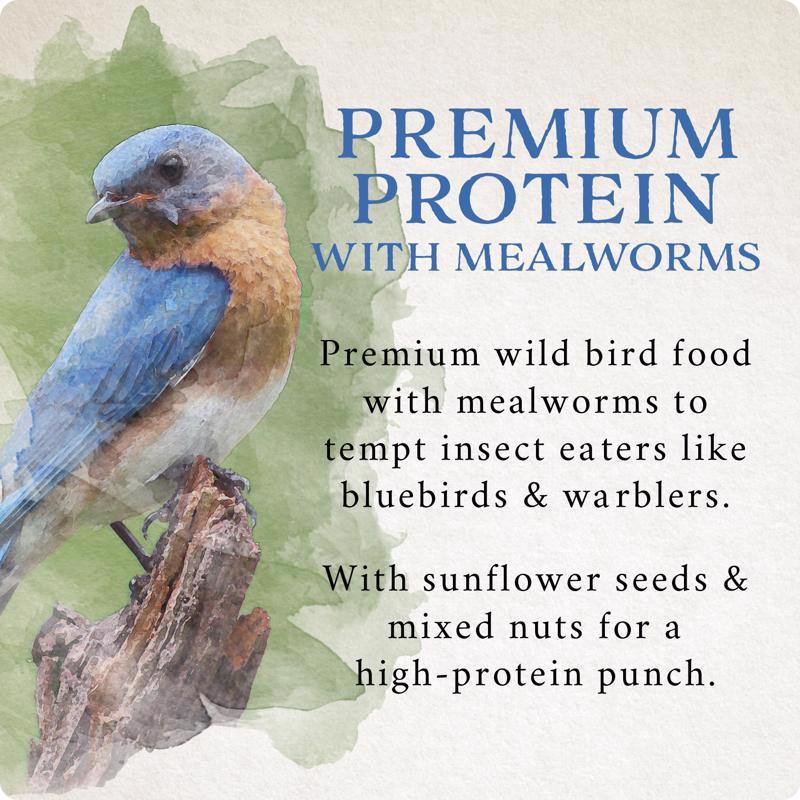 Songbird Selections Premium Protein with Mealworms Wild Bird Food 5 lb