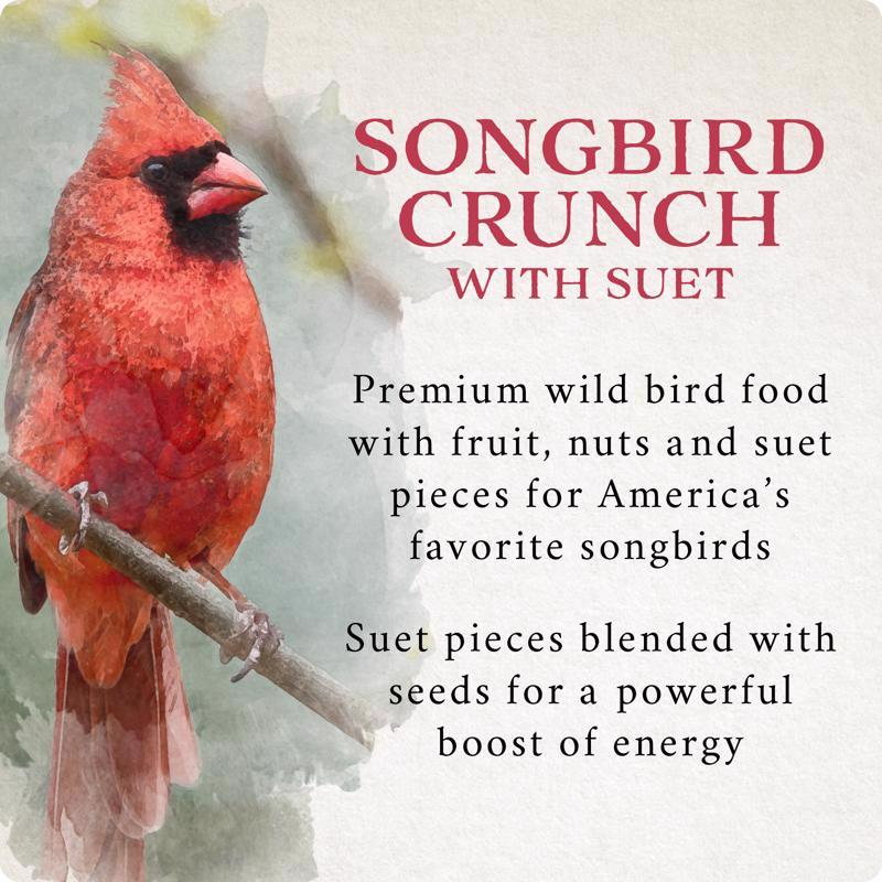 Songbird Selections Songbird Crunch Wild Bird Food 5 lb
