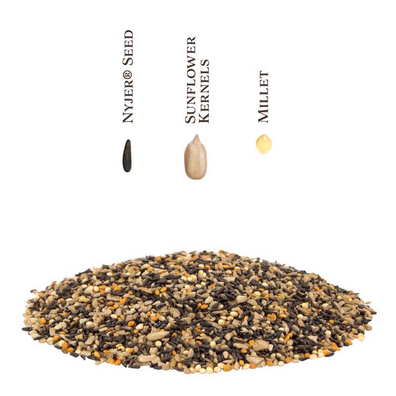 Songbird Selections Wild Finch Feast with Nyjer Wild Bird Food 10 lb