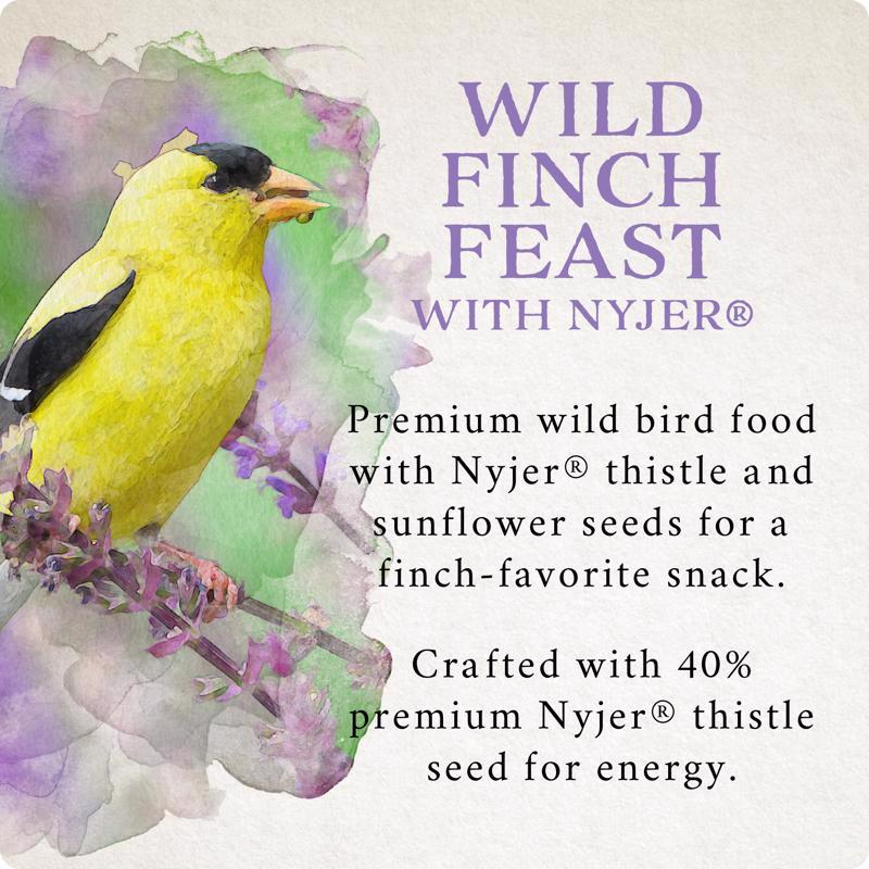 Songbird Selections Wild Finch Feast with Nyjer Wild Bird Food 10 lb