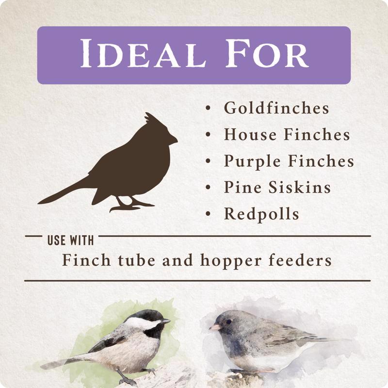Songbird Selections Wild Finch Feast with Nyjer Wild Bird Food 10 lb