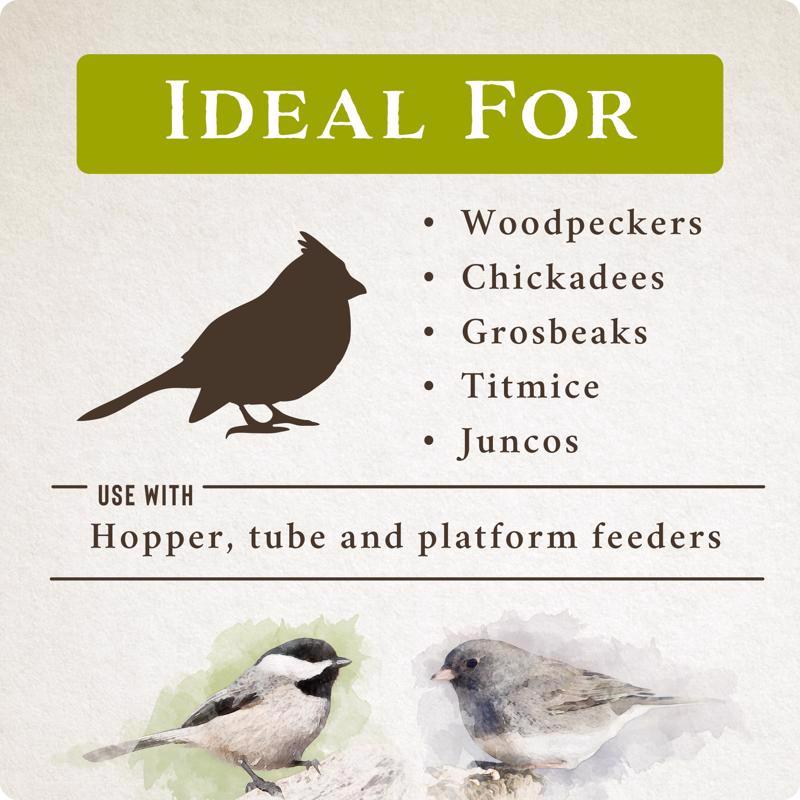 Songbird Selections Perfect Balance Wild Bird Food 5 lb