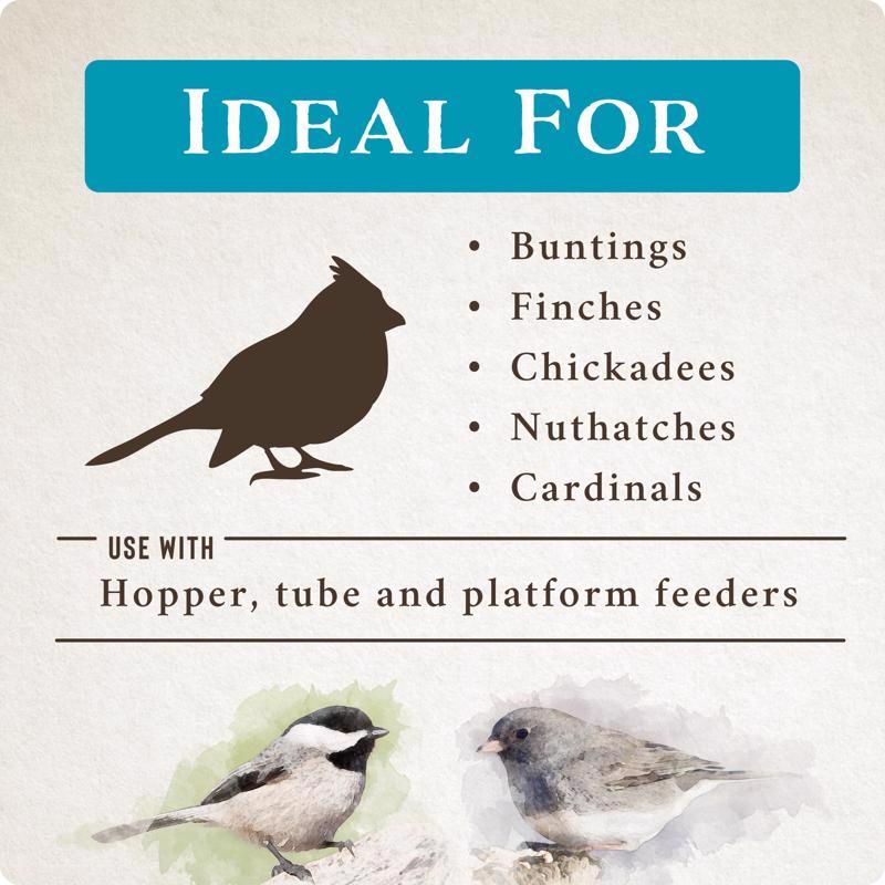 Songbird Selections Wild Bird Food 10 lb