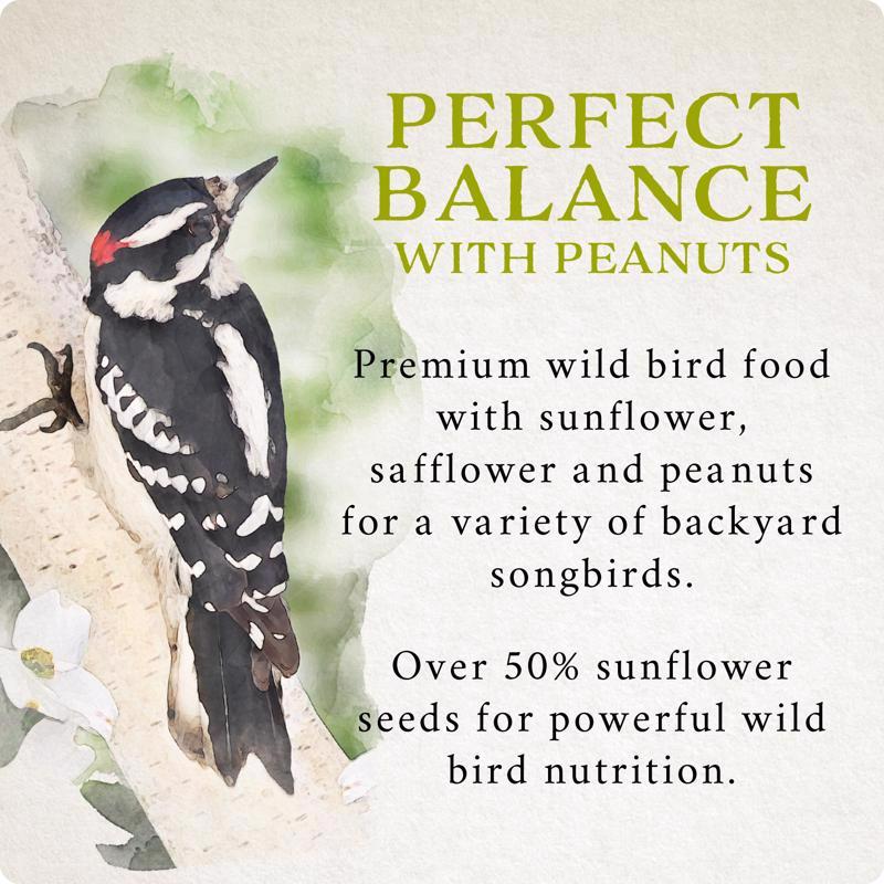 Songbird Selections Perfect Balance with Peanuts Wild Bird Food 10 lb
