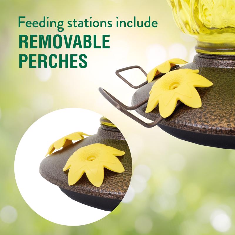 Perky-Pet Hummingbird 28 oz Glass/Plastic Pineapple Nectar Bird Feeder 5 ports