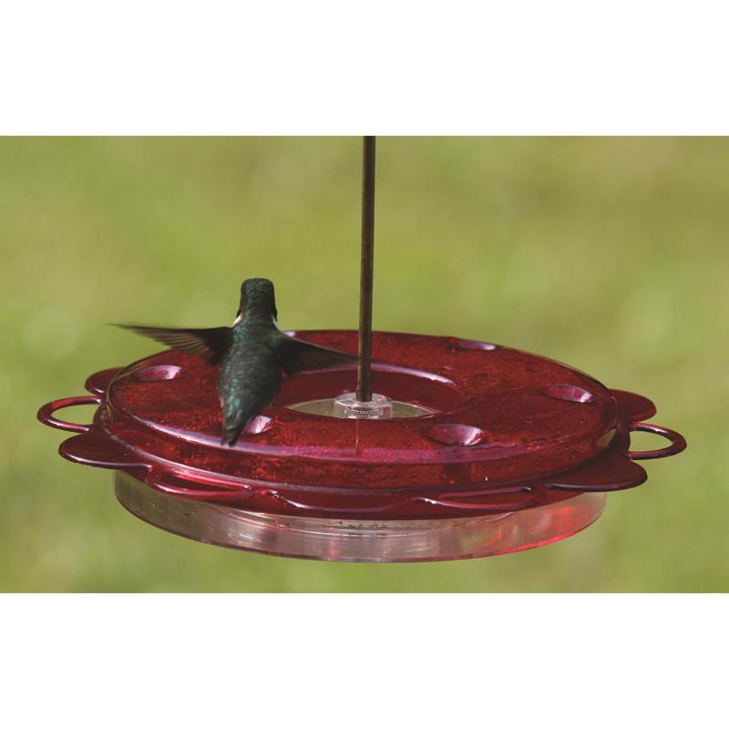 Birds Choice Hummingbird 0.75 oz Polycarbonate Hanging Nectar Bird Feeder 6 ports