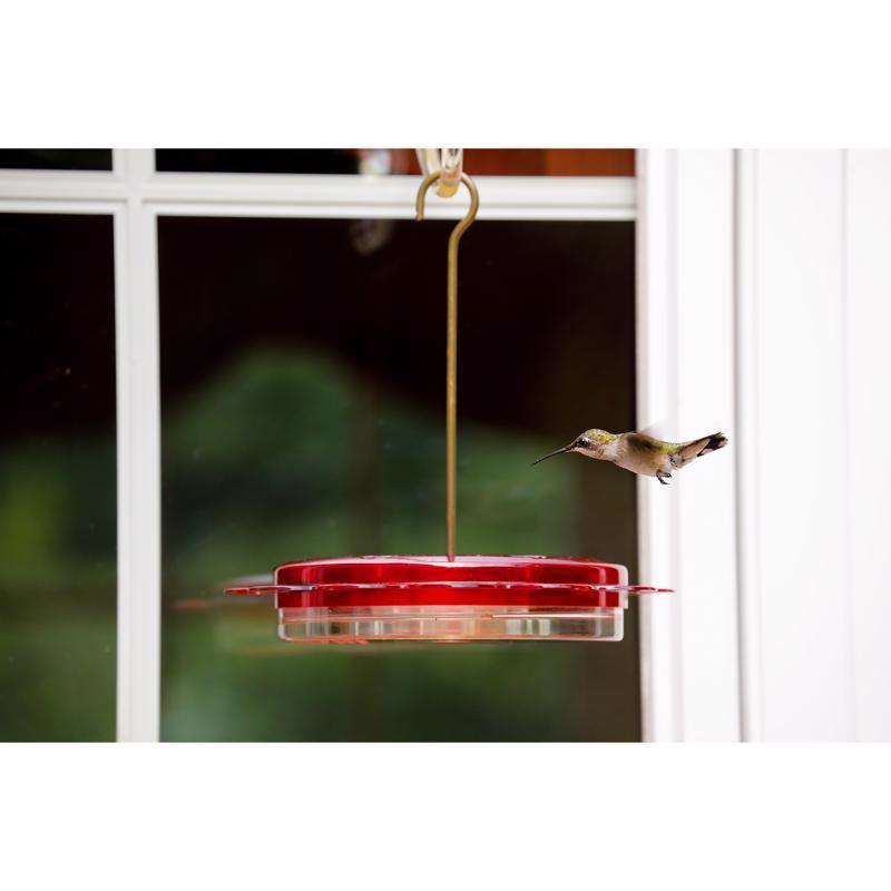 Birds Choice Hummingbird 0.75 oz Polycarbonate Hanging Nectar Bird Feeder 6 ports