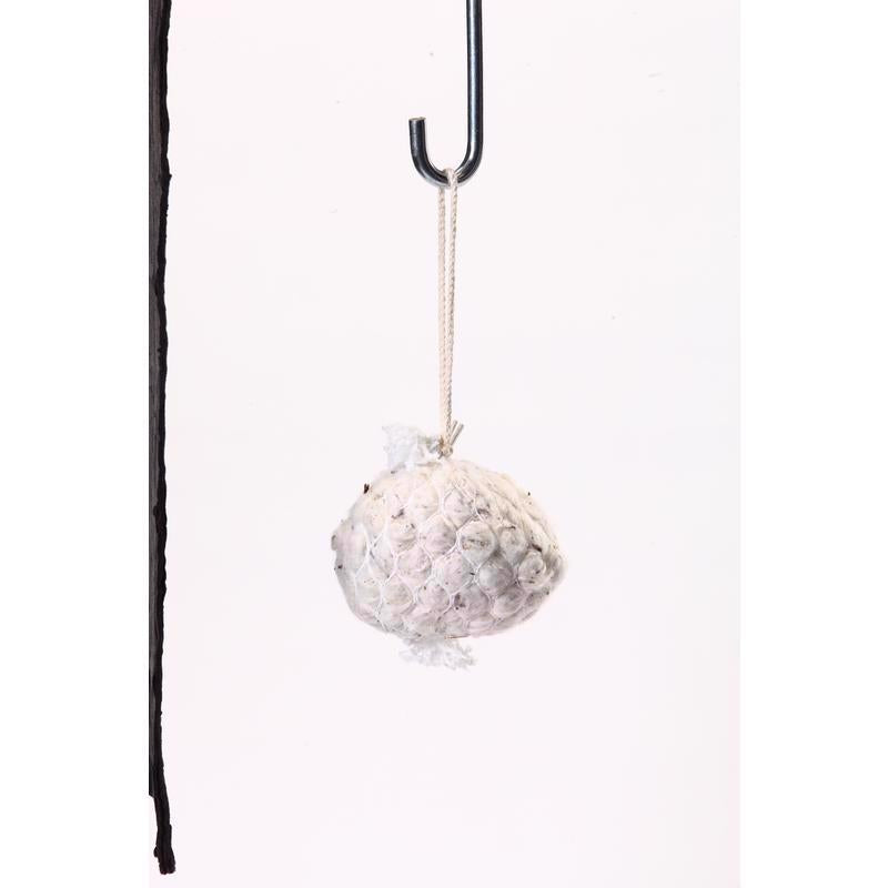 Birds Choice 6 in. H X 4 in. W X 4 in. D Bird Nesting Refill