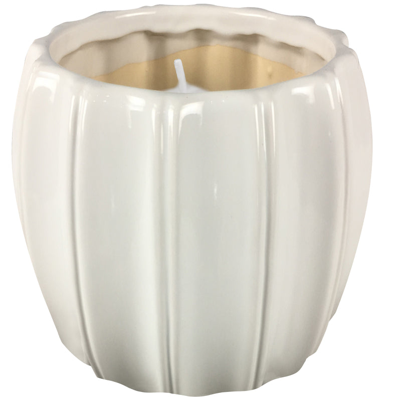 OutDoozie Assorted Ceramic 4 in. H Contour Citronella Candle