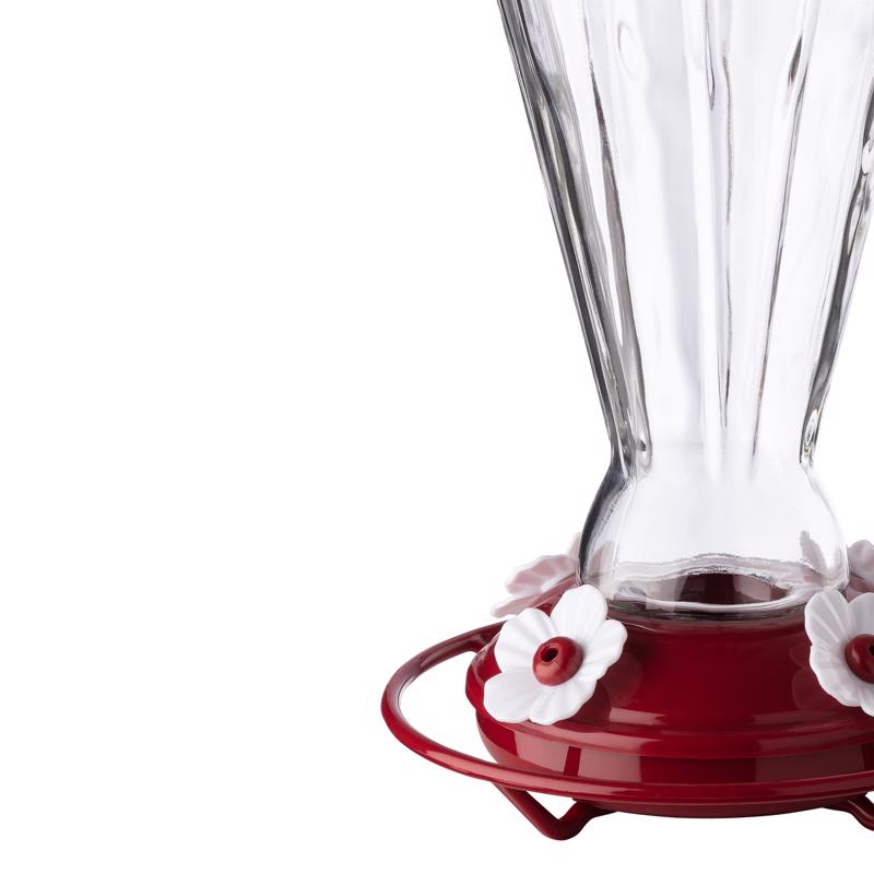 More Birds Hummingbird 28 oz Glass/Plastic Bird Feeder 4 ports