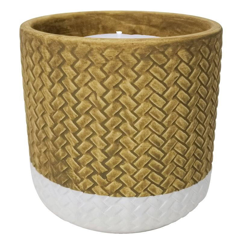 Trendspot Assorted Ceramic 4 in. H X 4 in. L X 4 in. W Reed Citronella Candle