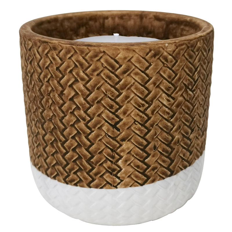 Trendspot Assorted Ceramic 4 in. H X 4 in. L X 4 in. W Reed Citronella Candle