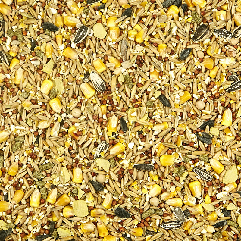 Kaytee Backyard Wildlife Squirrel and Critter Food 5 lb