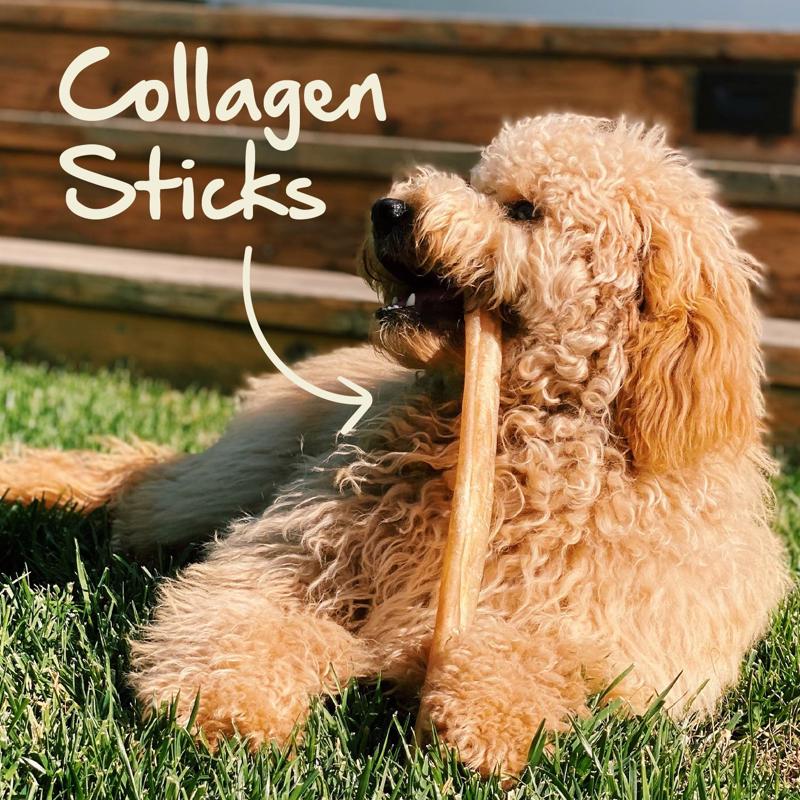 Redbarn Collagen Stick Grain Free Chews For Dogs