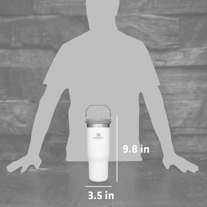 Stanley IceFlow 30 oz Polar BPA Free Double-Wall Vacuum Insulated Straw Tumbler