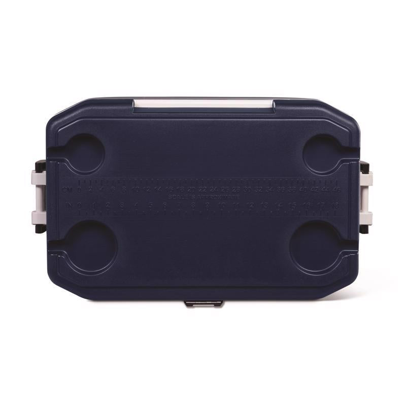 Igloo MaxCold Blue/Gray 54 qt Ice Chest
