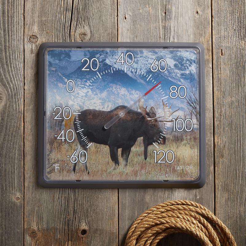 Taylor Moose Dial Thermometer Plastic Multicolored 14 in.