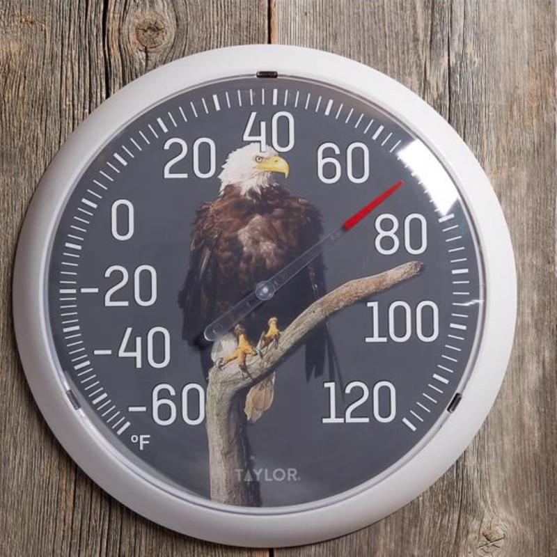 Taylor Eagle Dial Thermometer Plastic Multicolored 13.25 in.
