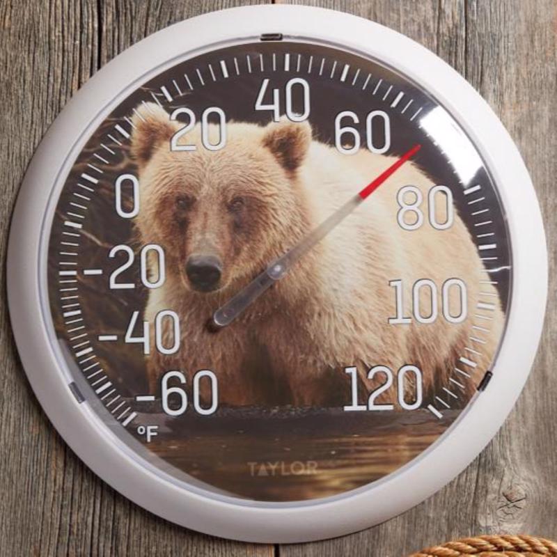Taylor Bear Dial Thermometer Plastic Multicolored 13.25 in.