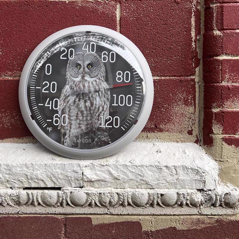 Taylor Owl Dial Thermometer Plastic Multicolored 13.25 in.